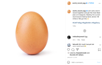 De foto van het recordhoudende ei (Bron: World Record Egg op Instagram)